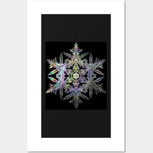 Iridescent Fractal Snowflake on a Black Background Posters and Art